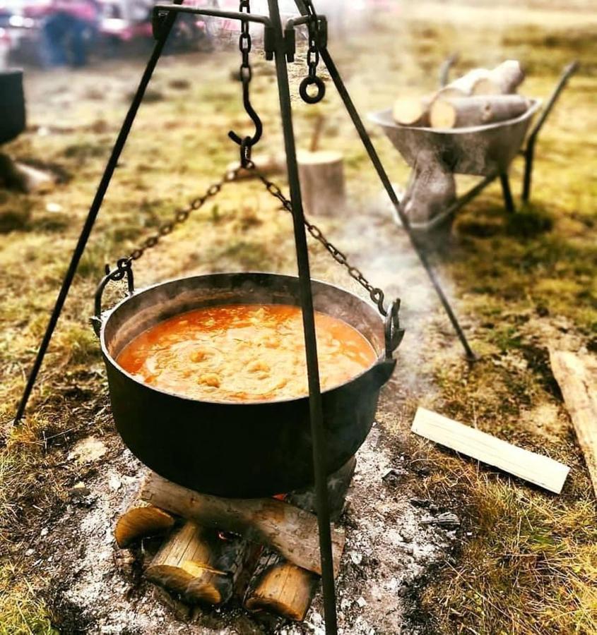 Langa Stana Hotel Curtea de Argeş Екстериор снимка