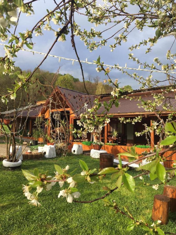 Langa Stana Hotel Curtea de Argeş Екстериор снимка